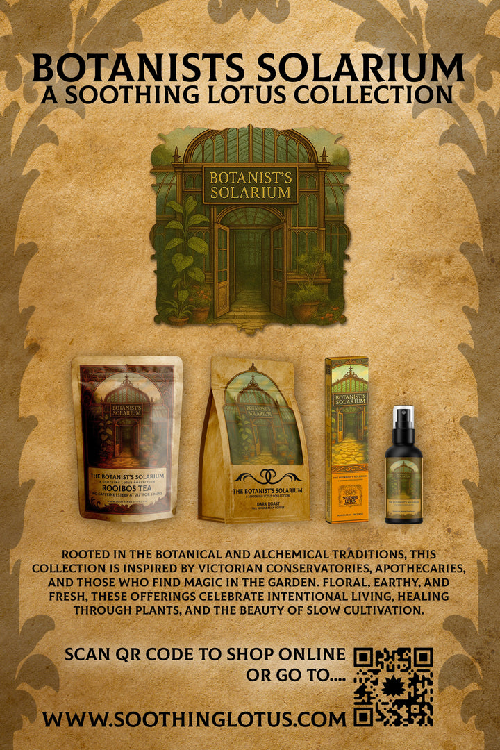 ボタニストのソラリウム ダークローストコーヒー