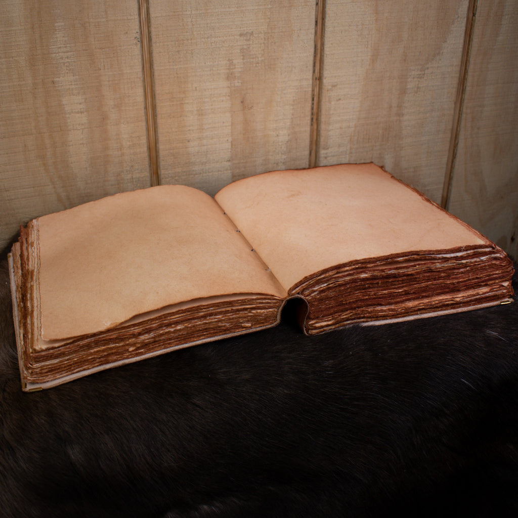 The pages of tan leather spell book journal