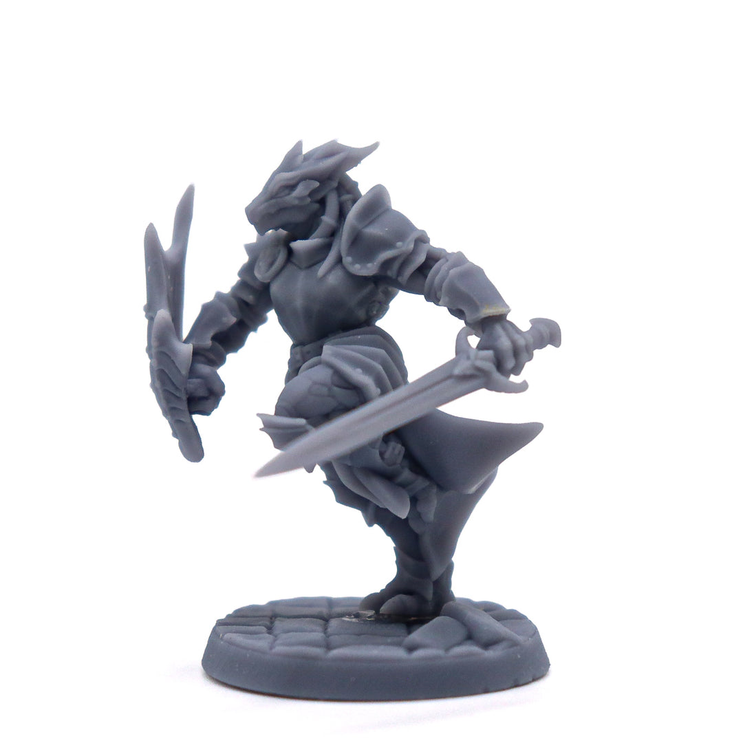 Dragonborn Vanguard Female Miniature