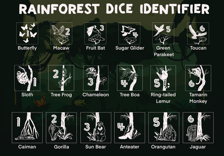 Rainforest Dice Identifier with illustrations of animals and numbers on a dark background