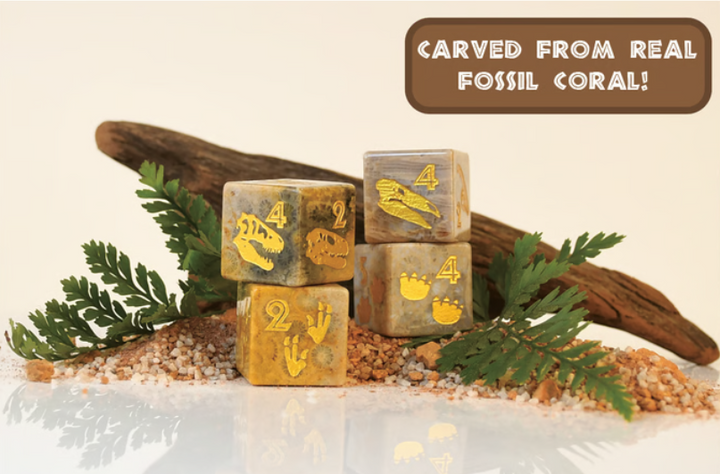 Dino Dig Fossil D6 Dice