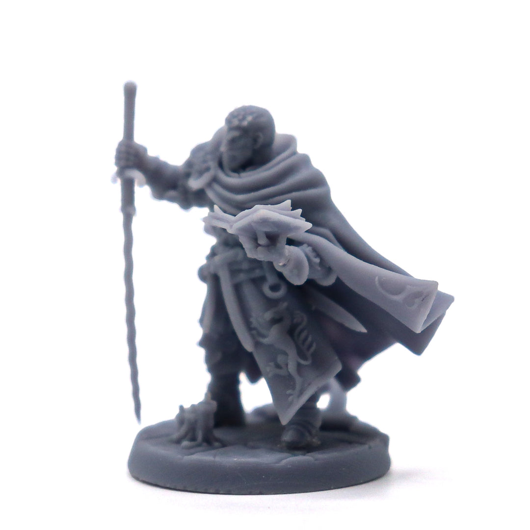 Spellblade Hero Male Miniature