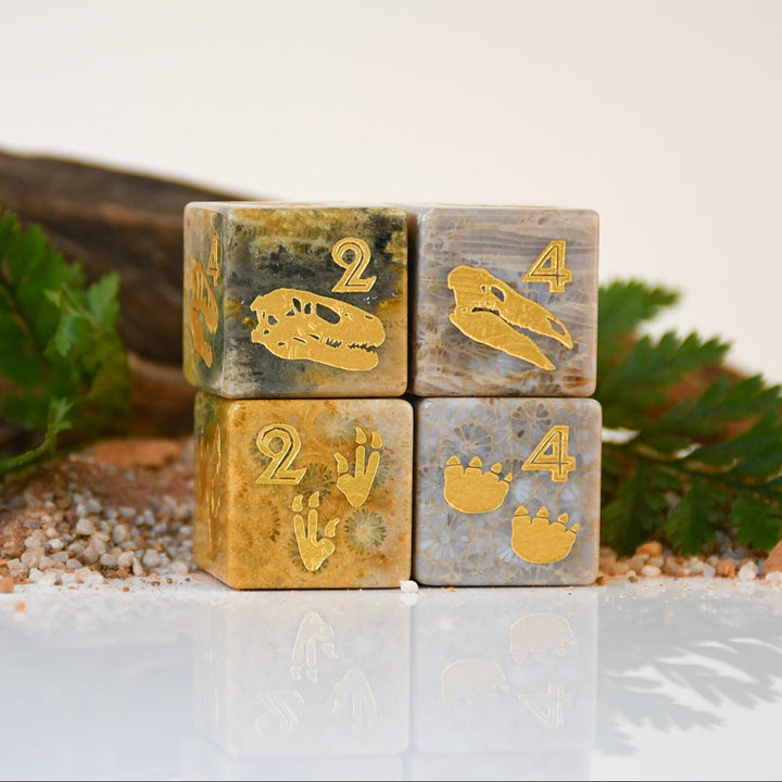 Dino Dig Fossil D6 Dice