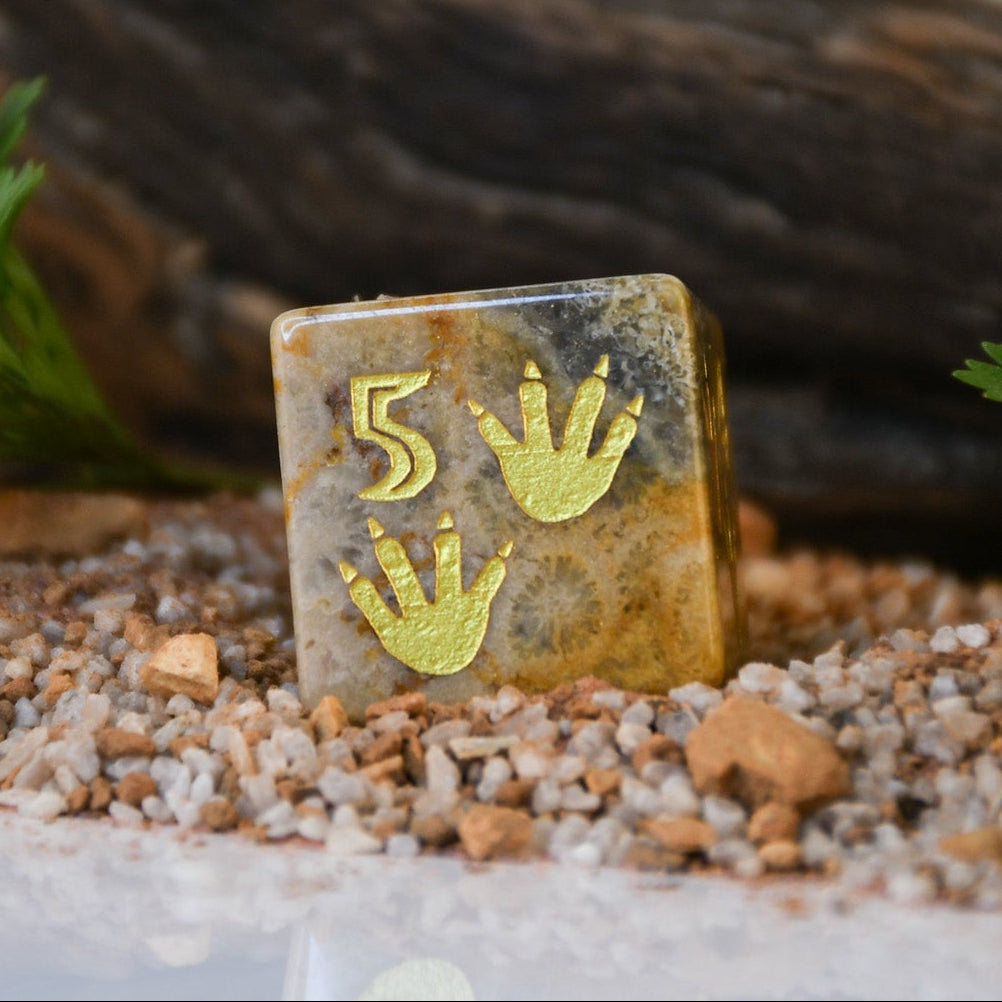 Dino Dig Fossil D6 Dice