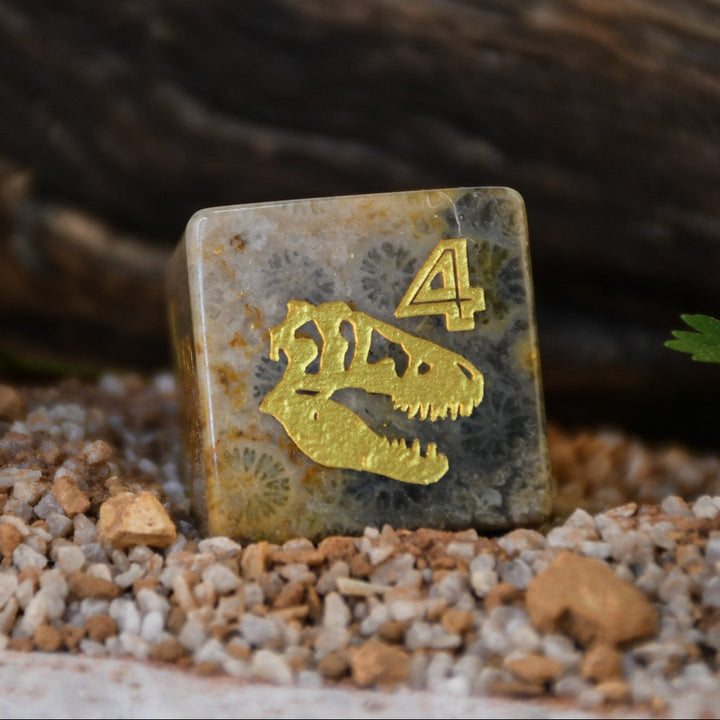 Dino Dig Fossil D6 Dice