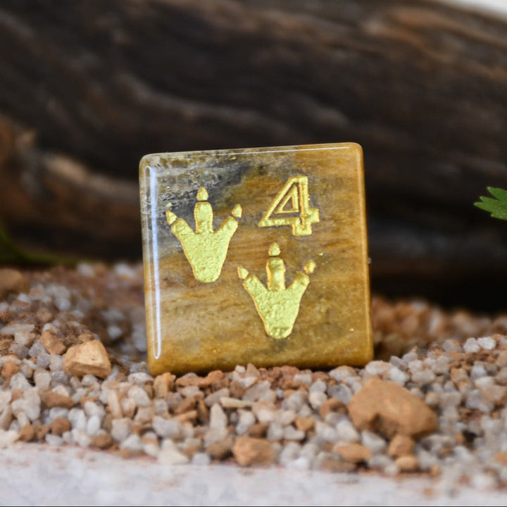 Dino Dig Fossil D6 Dice
