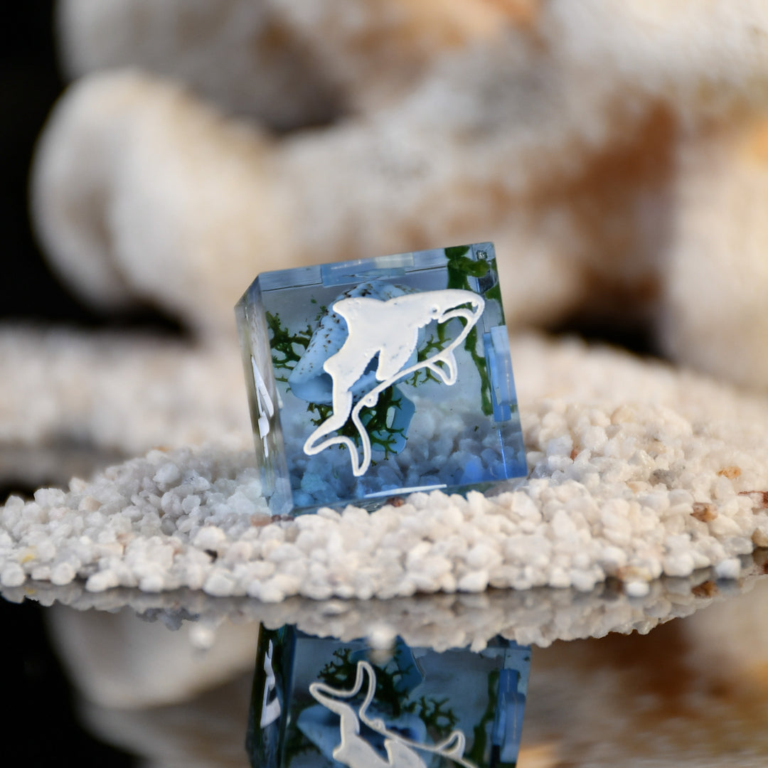 Ocean Ecosystem Sharp-Edged Resin Dice Set