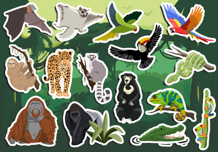 Rainforest Biome Sticker Pack