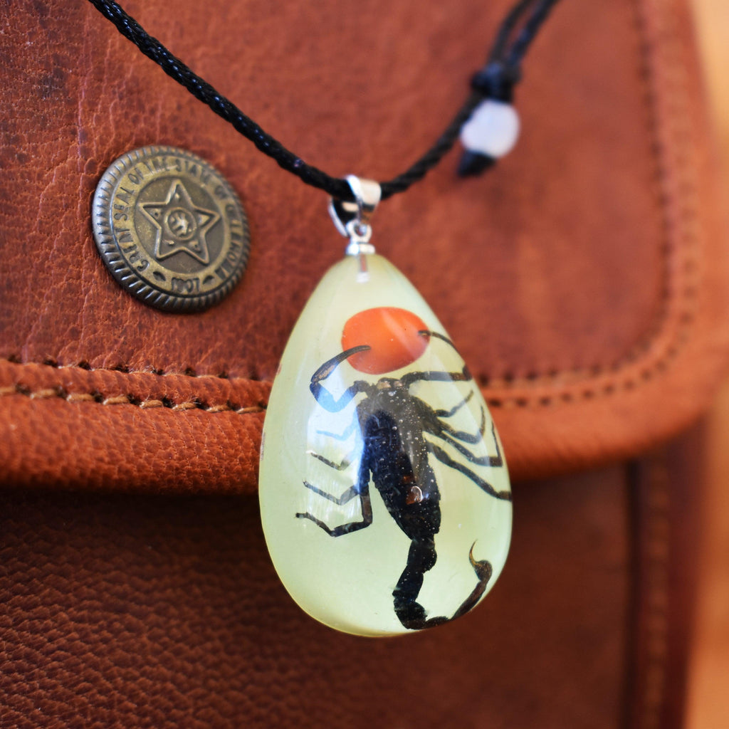 A necklace with a small scorpion inside
